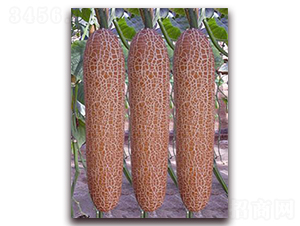 ���S��-�S�ϷN��-�ꂥ�N�I(y��)