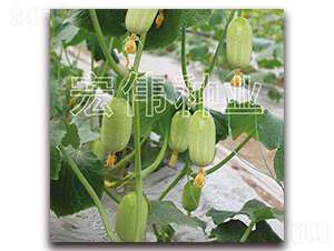 ؐؐ-�S�ϷN��-�ꂥ�N�I(y��)