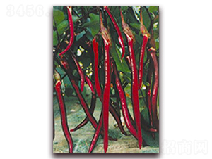 ����-���ӷN��-�ꂥ�N�I(y��)