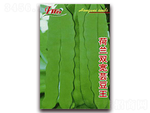 ���m�p���|����-���ǷN��-�ꂥ�N�I(y��)