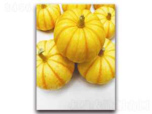 �Sؐؐ-�ϹϷN��-�ꂥ�N�I(y��)