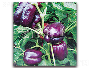 ��ˮ��-�����N��-�ꂥ�N�I(y��)