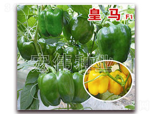 ���R-�����N��-�ꂥ�N�I(y��)