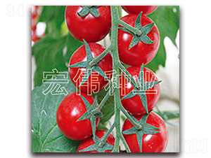 ���t5369-�������t���N��-�ꂥ�N�I(y��)