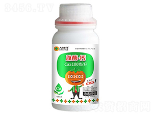 肽酶·鈣-大柿哥