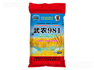 ���r(n��ng)981��С���N�ӣ�-���S�N�I(y��)