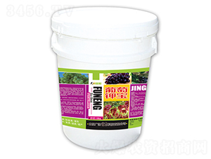 ����⛌�-�����Ƽ�