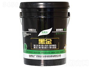 �ڽ�-�����Ƽ�