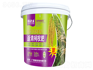 �����辷�-�n��̫-�����Ƽ�