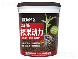 ��������-�����Ƽ�