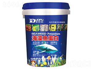 �����~����-�����Ƽ�