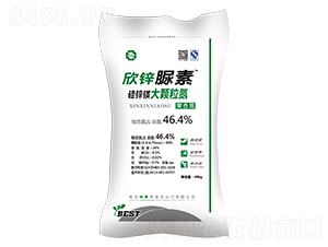 ���\�V���w����-��������-����ʢ