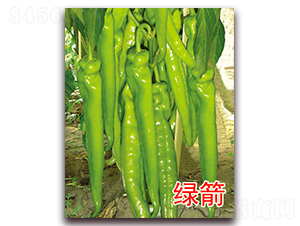 �G��-�����N��-�|�Z�r�I(y��)