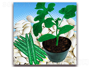 �Fľ��-�S�ϷN��-�|�Z�r(n��ng)�I(y��)