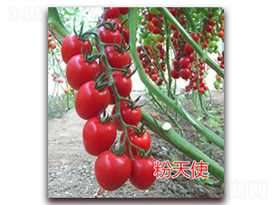 ����ʹ-���ҷ��ѷN��-�|�Z�r(n��ng)�I(y��)