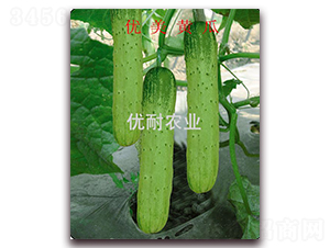 ��(y��u)���S��-�S�ϷN��-��(y��u)���r(n��ng)�I(y��)