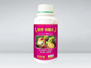 ��⛡������أ�ƿ��-��������