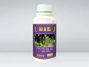 ���oۙ��ƿ��-��������