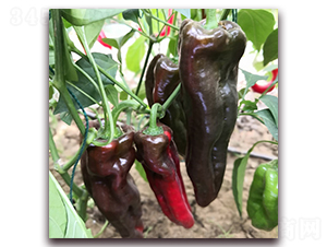 �ݽ��N��-� ��r�I(y��)