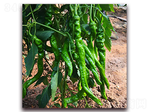 �]��5-�����N��-� ��r�I(y��)