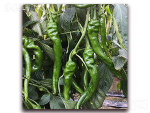 �]��3-�����N��-� ��r�I(y��)