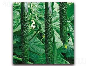 ����12-�S�ϷN��-� ��r(n��ng)�I(y��)