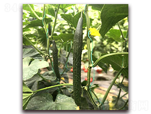 ��������571-�S�ϷN��-� ��r(n��ng)�I(y��)