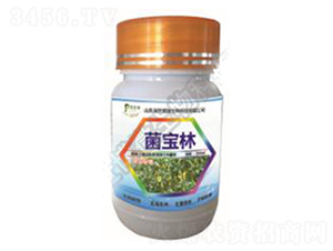 ΢�����������-������-������