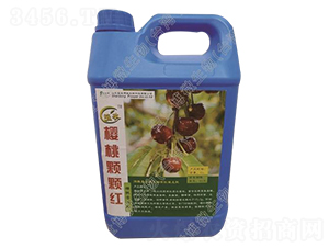 櫻桃專用液體肥-櫻桃顆顆紅-寶世博