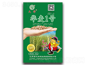 �A��1̖-С���N��-���A�N�I(y��)