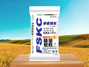 �������19-19-19-�S�տ�܇