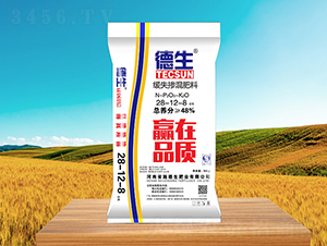 �������28-12-8-����