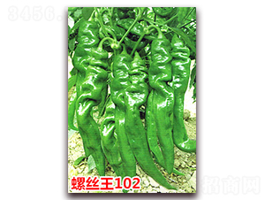 �ݽz��102-�����N��-�f(w��n)���r(n��ng)�I(y��)