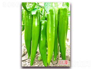 ����-�����N��-�f(w��n)���r(n��ng)�I(y��)