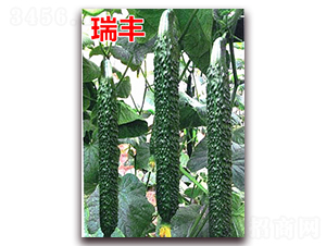 ���S-�S�ϷN��-�f���r(n��ng)�I(y��)