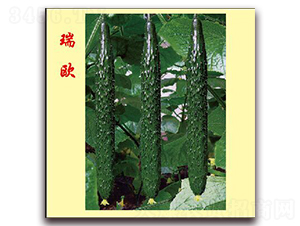 ��W-�S�ϷN��-�f���r(n��ng)�I(y��)