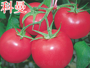 ����-�۹����ѷN��-�f(w��n)���r(n��ng)�I(y��)