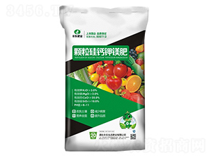 �w�����}��V��-�S��(l��)�ʘI(y��)