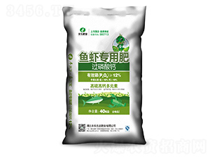 �^�����}�~�r���÷�-�S���ʘI(y��)