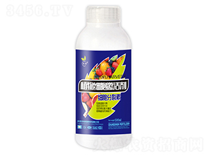 ֲ�：(x��)�����-��˲