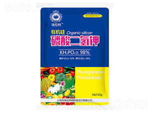 �ЙC(j��)����������-������-��˲