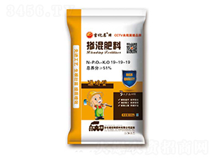 �������19-19-19-��������