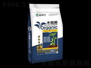 ľù�������ЙC(j��)��-��ك|