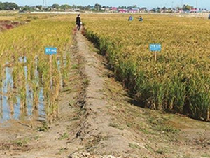 �}�A�ظ����ʌ�(sh��)�ĈD-�����S