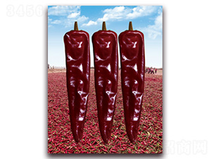 �t�l(f��)���彷-�����N��-�t�l(f��)�N�I(y��)