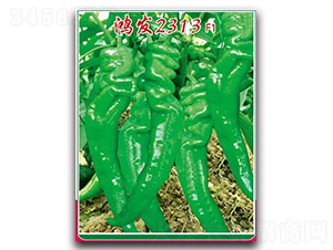 ���l(f��)2313-�����N��-�t�l(f��)�N�I(y��)