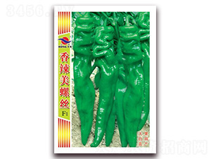 �������ݽz-�����N��-�t�l(f��)�N�I(y��)