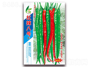 �t����̖(h��o)-�����N��-�t�l(f��)�N�I(y��)