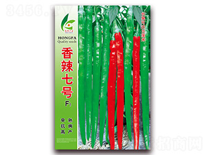 ������̖(h��o)-�����N��-�t�l(f��)�N�I(y��)