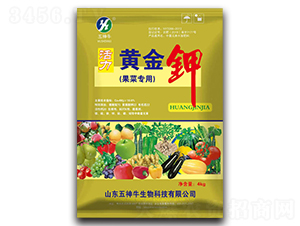 �����S���-����ţ